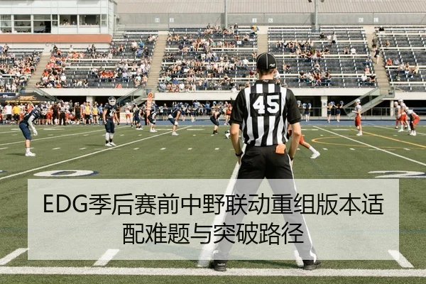 EDG季后赛前中野联动重组版本适配难题与突破路径